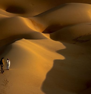 الصحراء 8
