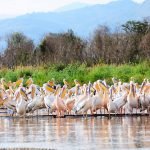 lake-blog07