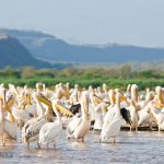 lake-blog08