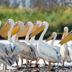 lake-blog09