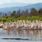 lake-blog23