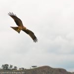 lake-blog26