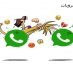 whats app